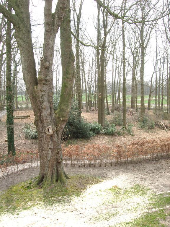 Landgoed De Lavei Bed & Breakfast Weleveld Exterior photo