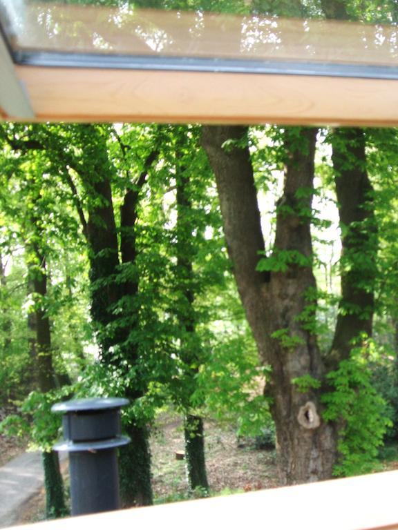 Landgoed De Lavei Bed & Breakfast Weleveld Room photo